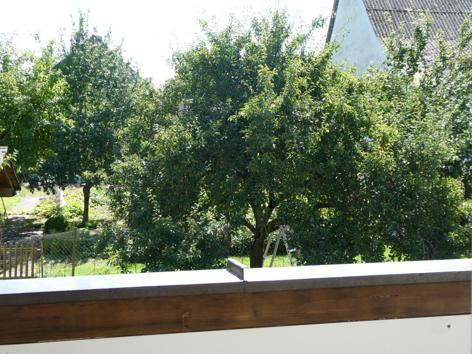 Waldesblick, Hotel-Restaurant Lahr  Luaran gambar